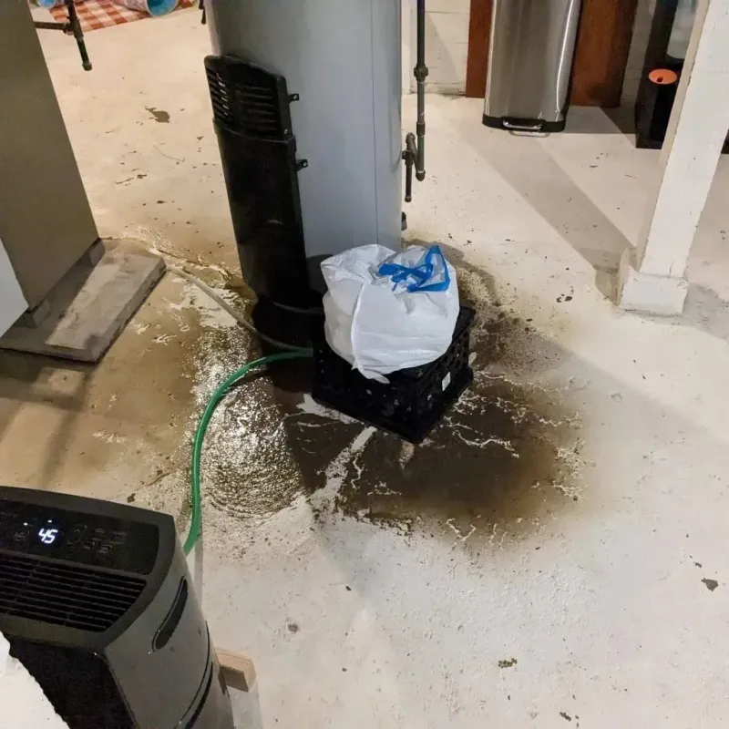 Sewage Backup Cleanup Service in Wheaton, MN